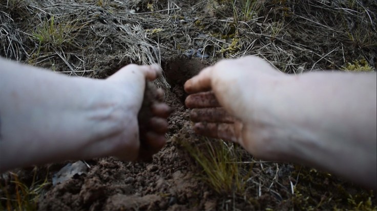 elaine crowe i shiver and i shit