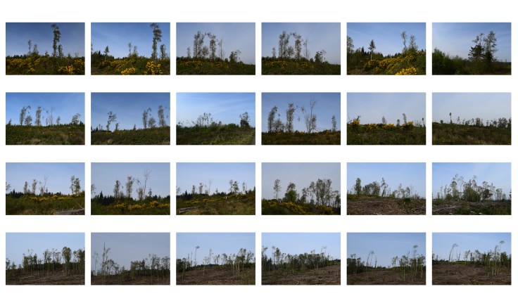 horizon contact sheet.jpg