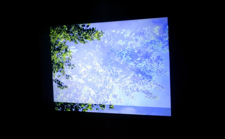 elainecroweimageAsquaringtheheavens