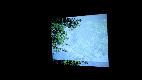 elainecrowesquaringtheheavensgif