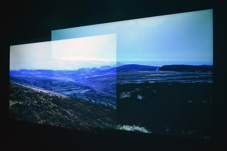 imageCelainecrowecontemplatingamountain